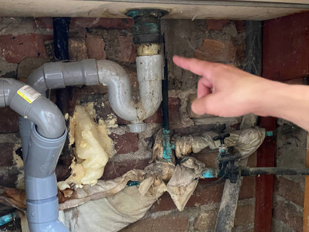 Best Water damage restoration cost  in White Center, WA