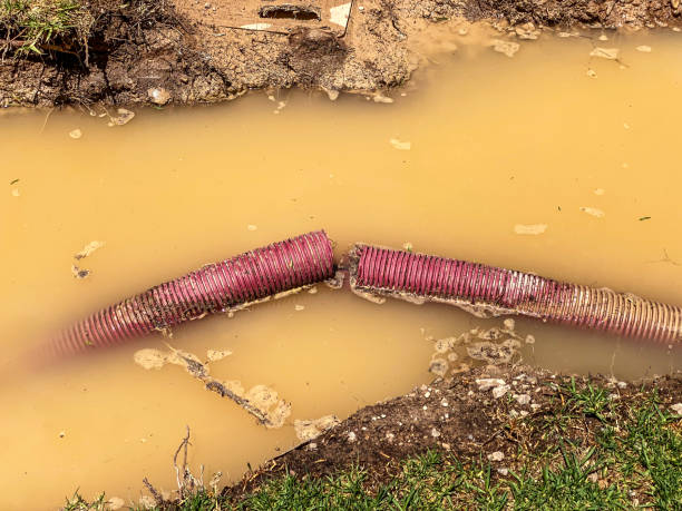 Best Local water damage restoration  in White Center, WA